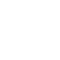 wgpu icon